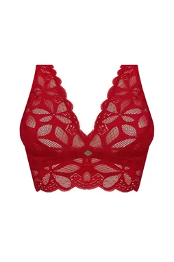 Antigel ELH6217 STRICTO ROUGE