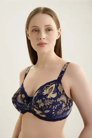 Antigel FCH6054 Lapis Or