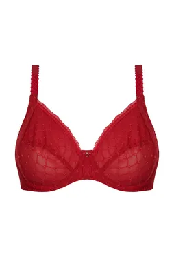 Antigel FCH6165 ROUGE CHERRY