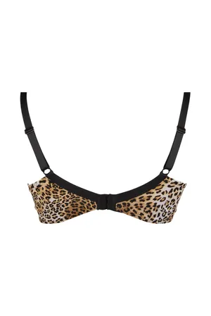 Antigel FCH8038 Fauve Et Noir