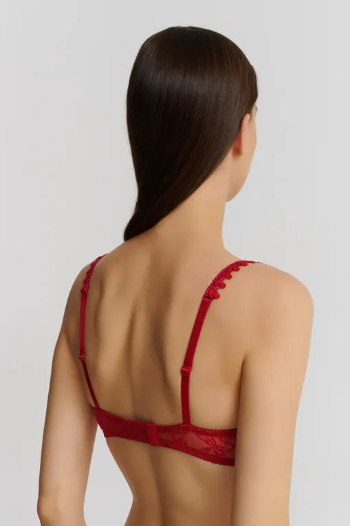Бюстгальтеры AUBADE HD08 ROUGE RUBIS