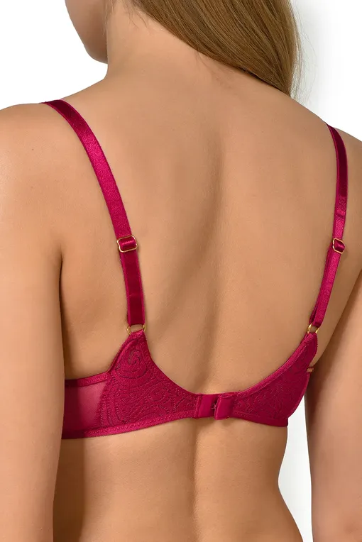 Бюстгальтеры Chantelle C14620 0E3 Ruby