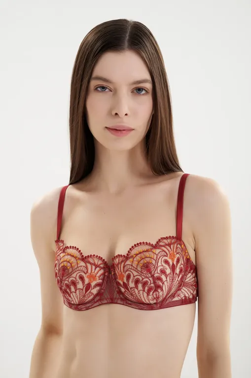 Бюстгальтеры I.D.Sarrieri M5727 dark red