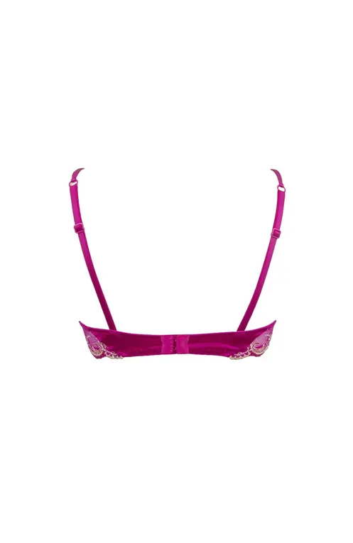 Бюстгальтеры Lise Charmel ACC3080 SPLENDEUR PRINCESS