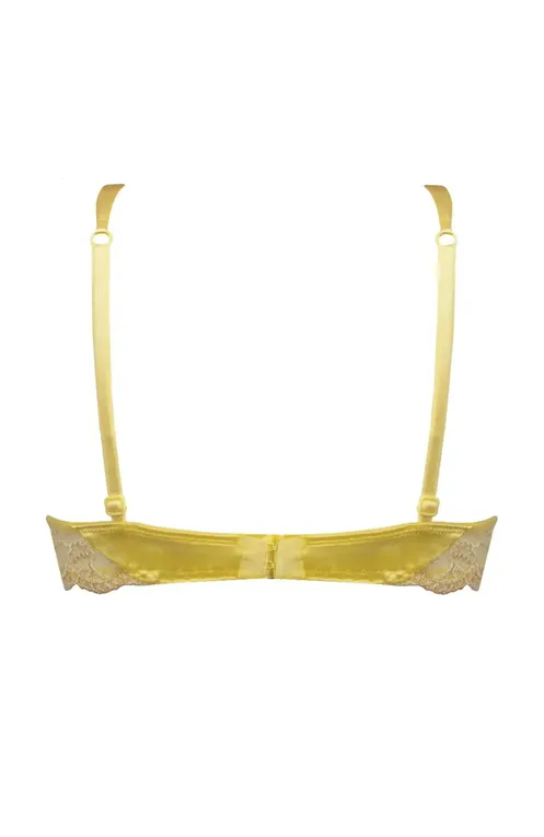 Бюстгальтеры Lise Charmel ACC3080 Splendeur Vanille