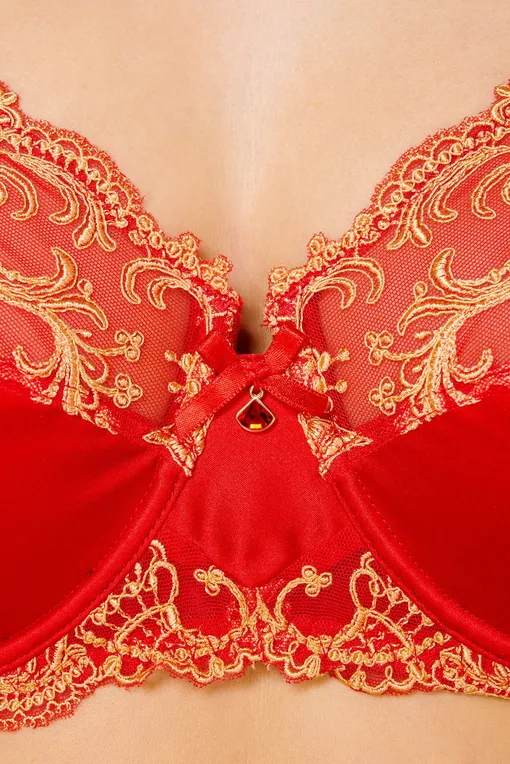 Бюстгальтеры Lise Charmel ACC6080 Splendeur Grenade