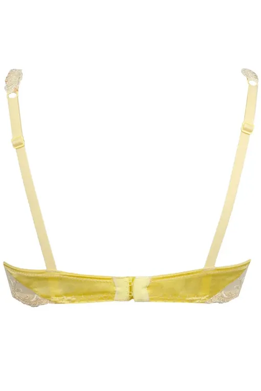 Бюстгальтеры Lise Charmel ACC6080 Splendeur Vanille