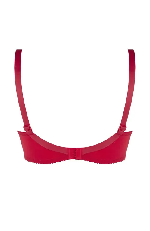Бюстгальтеры Lise Charmel ACC6180 SPLENDEUR ROUGE
