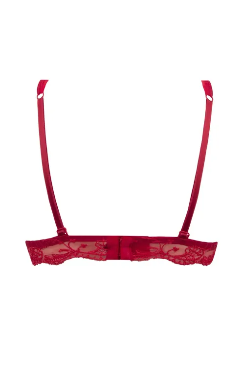 Бюстгальтеры Lise Charmel ACC6580 SPLENDEUR ROUGE