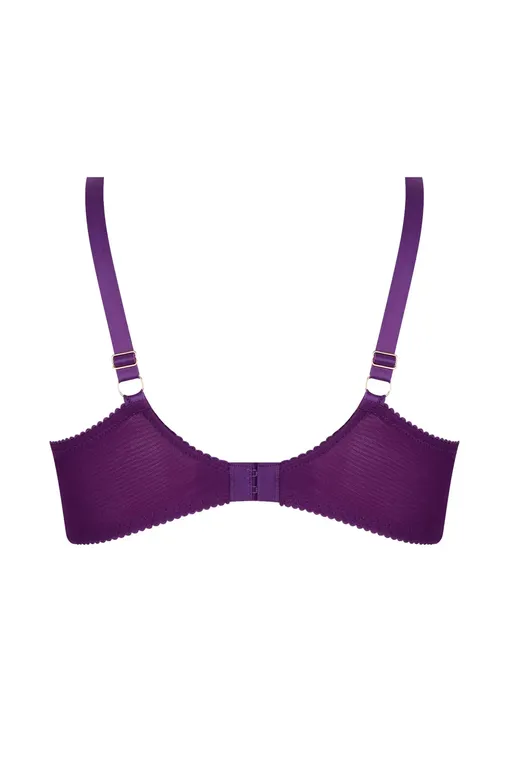 Бюстгальтеры Lise Charmel ACH2813 Fuchsia Sublime