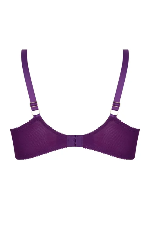 Бюстгальтеры Lise Charmel ACH2813 SUBLIME IRIS