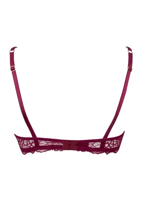 Бюстгальтеры Lise Charmel ACH3013 Fuchsia Sublime