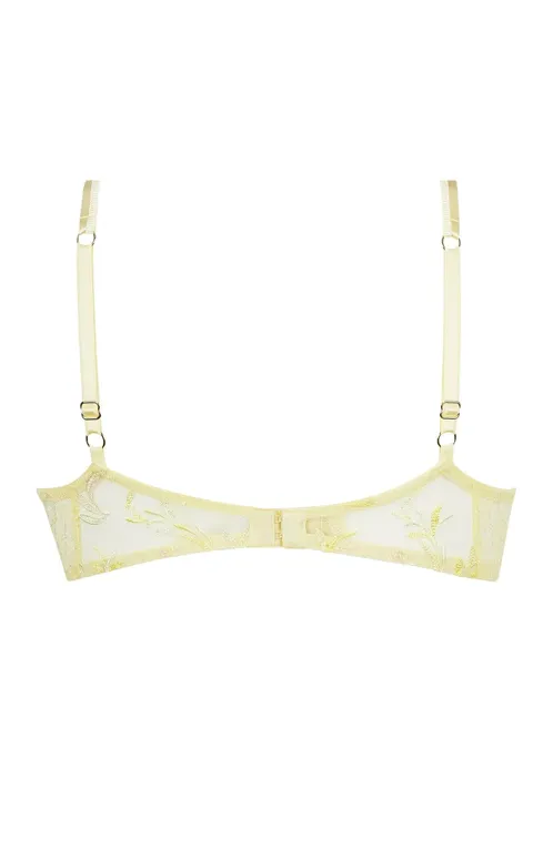 Бюстгальтеры Lise Charmel ACH7461 OR ROSE