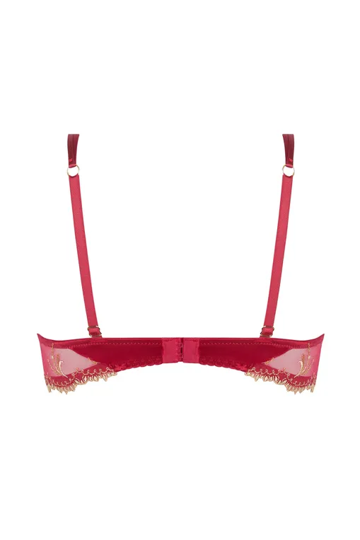 Бюстгальтеры Lise Charmel ACJ6030 OR RUBIS