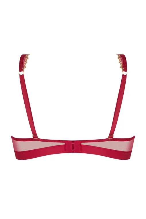 Бюстгальтеры Lise Charmel ACJ7430 OR RUBIS