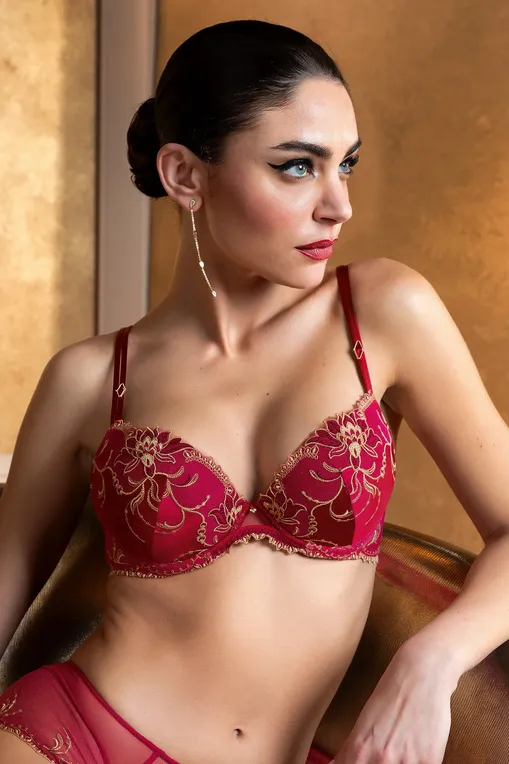 Бюстгальтеры Lise Charmel ACJ8530 OR RUBIS