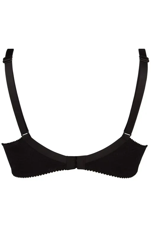 Бюстгальтеры Lise Charmel BCH6126 Rose Ebene