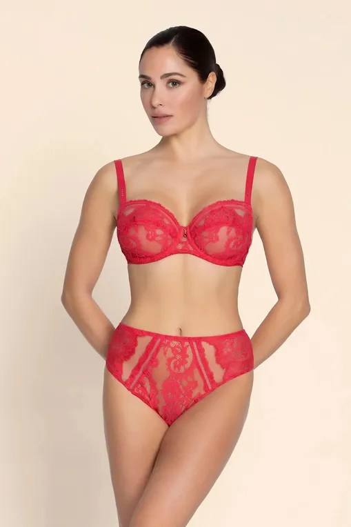 Бюстгальтеры Lise Charmel BCJ3035 GRENAT VENISE