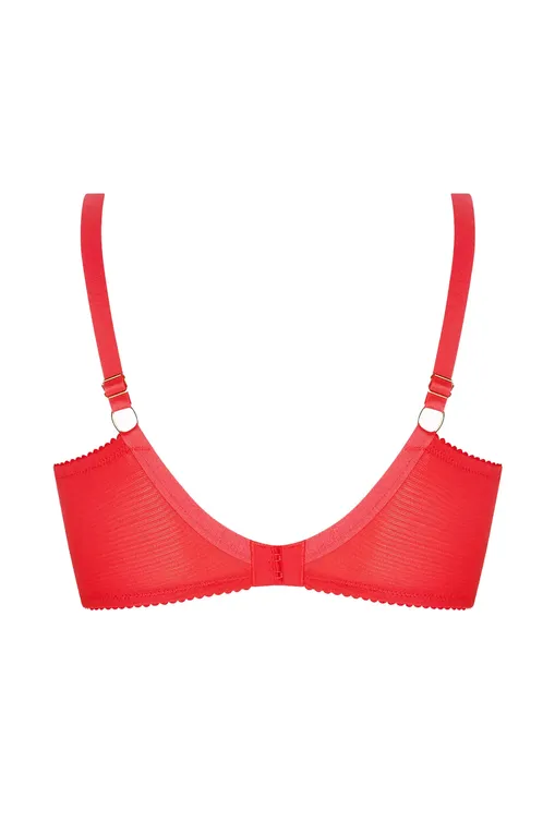 Бюстгальтеры Lise Charmel BCJ6135 GRENAT VENISE