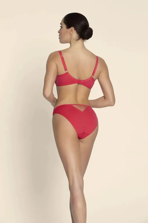 Бюстгальтеры Lise Charmel BCJ6135 GRENAT VENISE