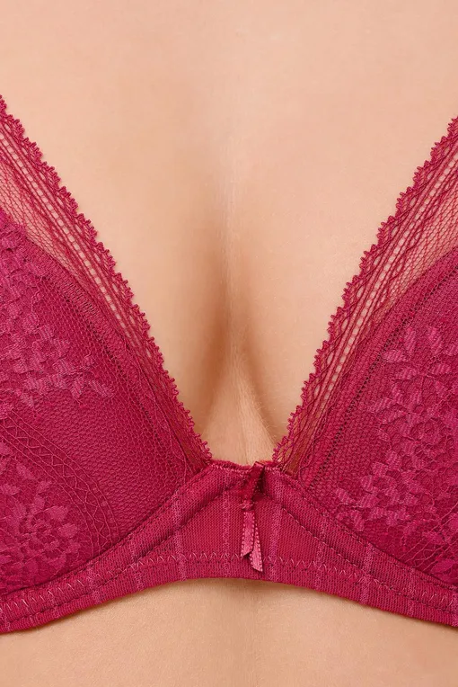 Бюстгальтеры Passionata P47H20 0KY Fraise des bois