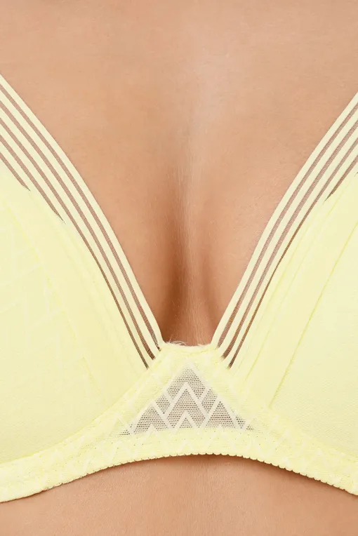 Бюстгальтеры Passionata P48D90 0PR Tender yellow