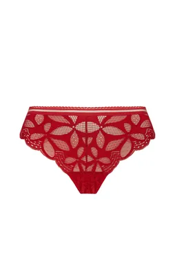 Antigel ECH0017 STRICTO ROUGE