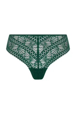 Antigel ECH0057 VERT ANGLAIS