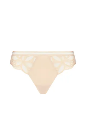 Antigel ECH0117 STRICTO PECHE