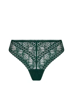 Antigel ECH0157 VERT ANGLAIS