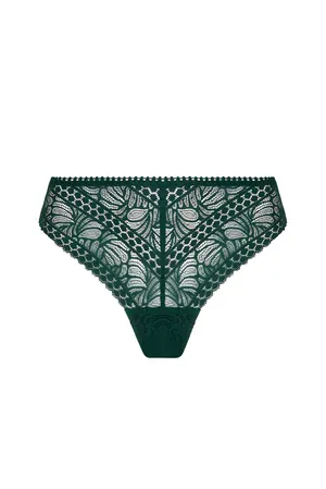 Antigel ECH0157 VERT ANGLAIS