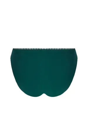 Antigel ECH0157 VERT ANGLAIS