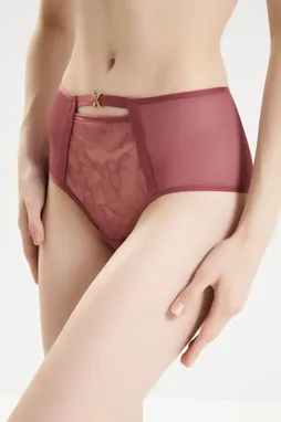 Chantelle C01AC5 085 Sepia