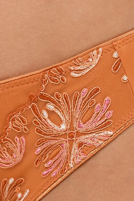 Трусы Chantelle C26030 0S6 Spice-pink