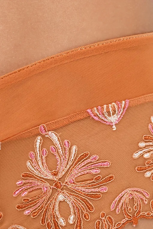 Трусы Chantelle C26040 0S6 Spice-pink