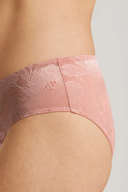 Трусы Hanro 070927 2305