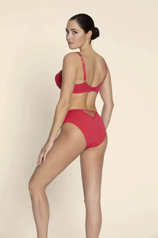 Трусы Lise Charmel ACJ0335 GRENAT VENISE