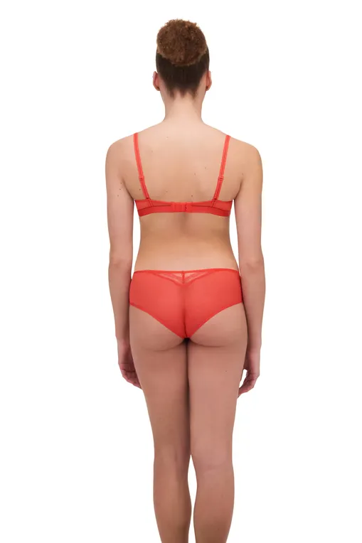 Трусы Passionata P40J40 0CB Bright poppy-Fig