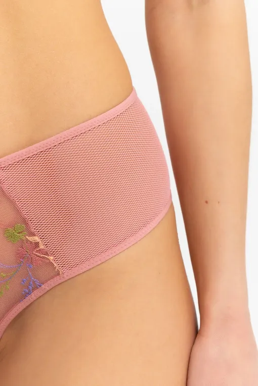 Трусы Passionata P41RB0 0WB Rosewood multicolor