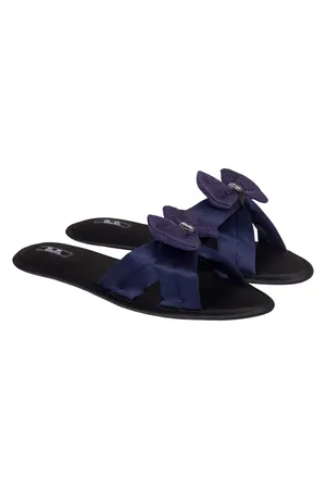 Petit Pas BRB007 синий