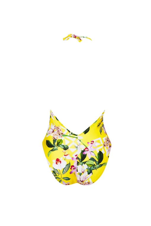 Купальники Lise Charmel ABB9778 SOLEIL DELICE
