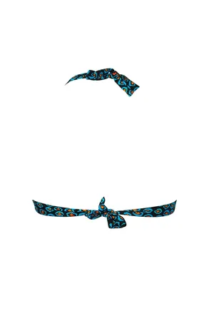 Antigel EBB2787 POIS SOLEIL