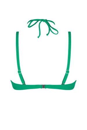 Antigel EBB4308 Stricto Vert