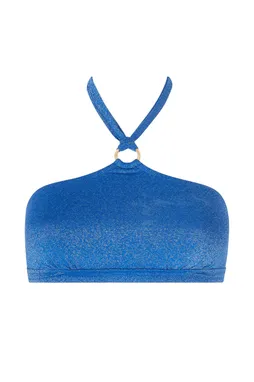 Antigel EBB5528 BLEU SIRENE