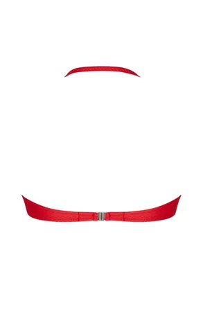 Antigel EBB7107 CORAIL VOGUE