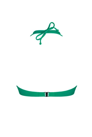 Antigel EBB7108 Stricto Vert