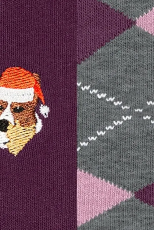 Носки Burlington 20712 0030 sortiment