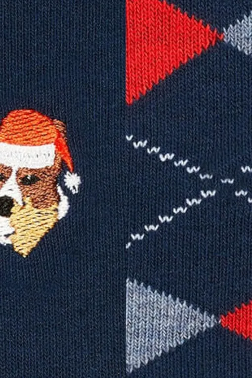 Носки Burlington 20712 0040 sortiment