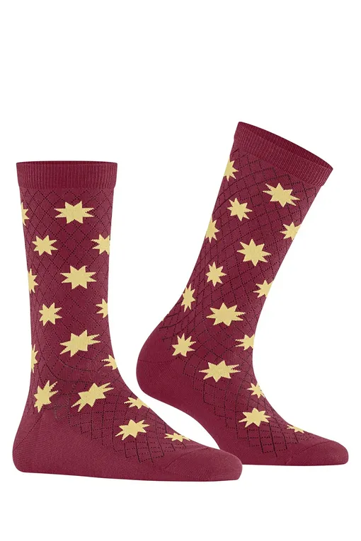 Носки Burlington 21415 0020 sortiment