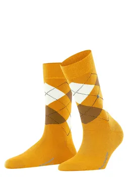 Burlington 22073 1314 solar